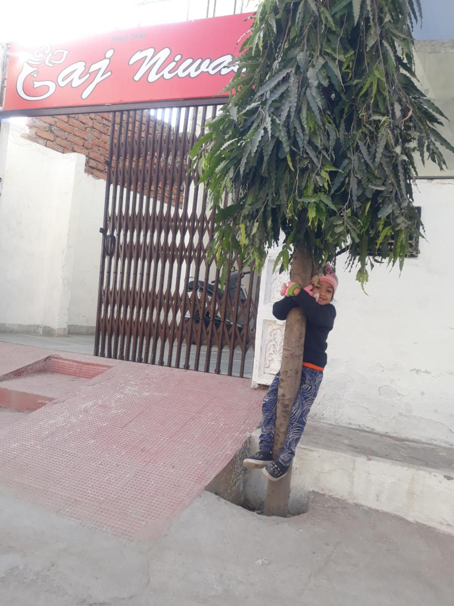 Gaj Niwas Hotel And Restaurant,Udaipur,Rajasthan Eksteriør bilde